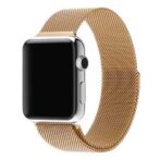 アップルウォッチバンド　マグネット　ゴールド　金　金属