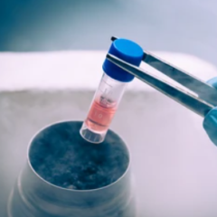 脂肪と臍帯血のヒト幹細胞美容液の違いとは！？どのような効果があるの？